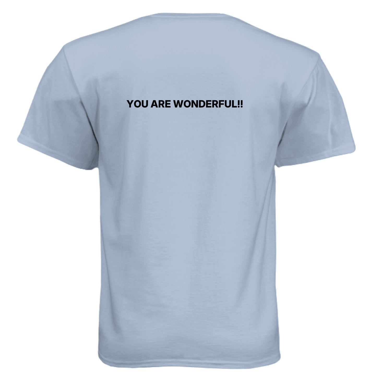 Vintage Stonewash Denim - BACK