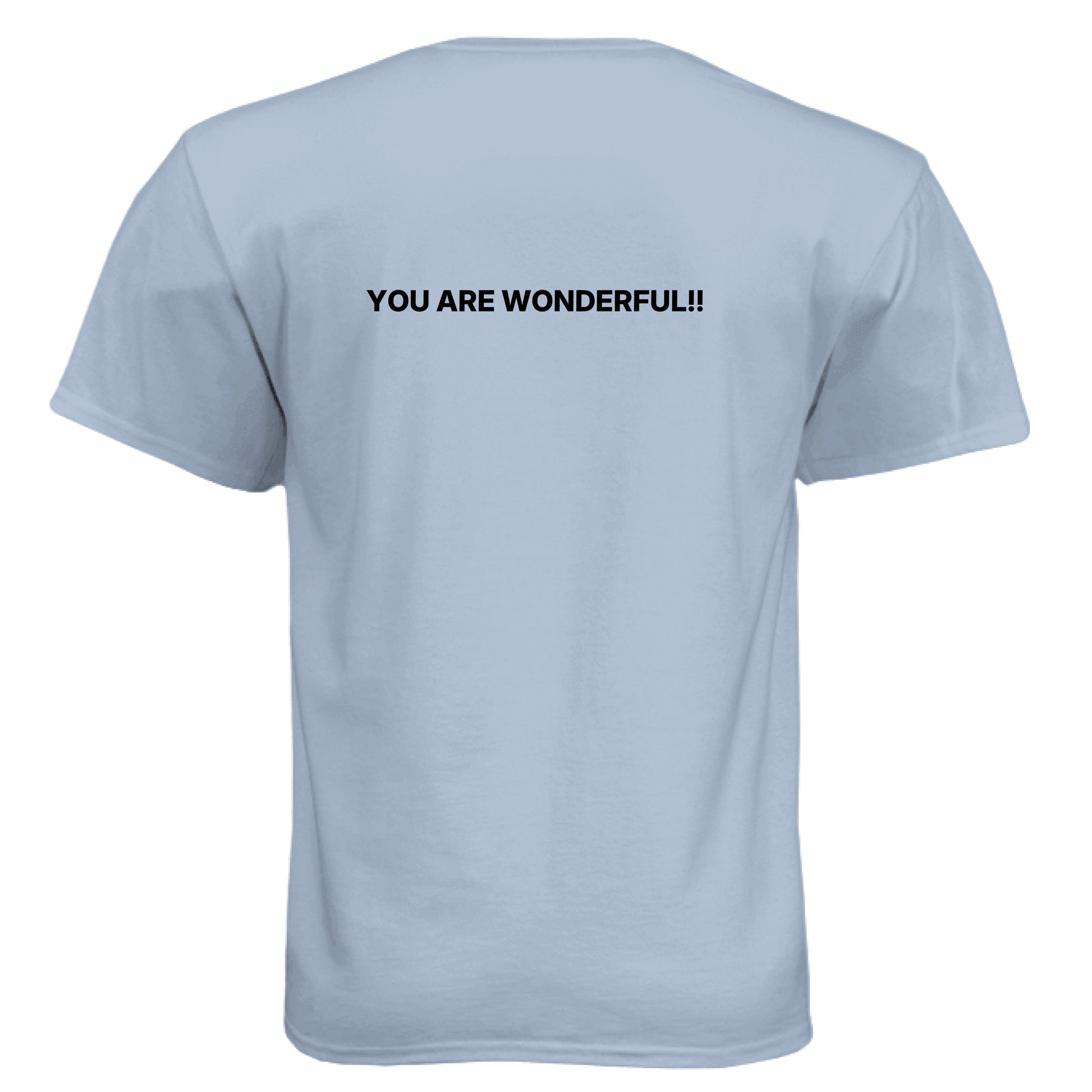 Vintage Stonewash Denim - BACK